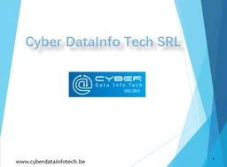 Logo Cyber DataInfo Tech SRL
