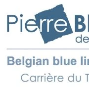 Logo Pierre Bleue de Wallonie