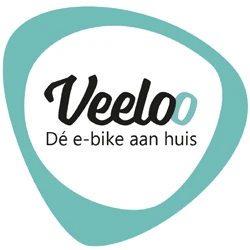 Logo VEELOO