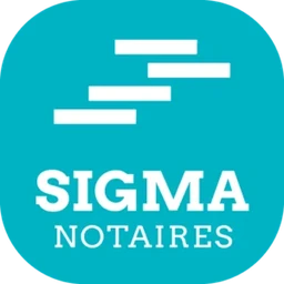 Logo V3 Management