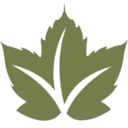 Logo VINEYARD
