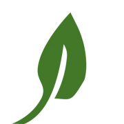 Logo VERT DE TOI