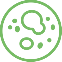 Logo PROXYLAB