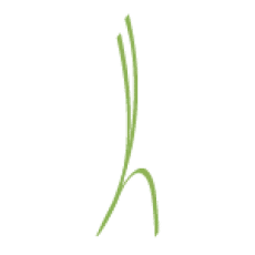 Logo CARRE D'HERBES