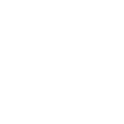 Logo LIEFST LEUVEN