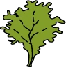Logo OUROBOUROS