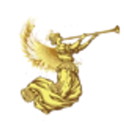 Logo SAEED