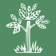 Logo SENIORENZORG SINT-VINCENTIUS ANZEGEM