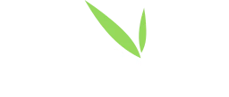 Logo ESSIER
