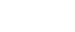 Logo NEW CHECK POINT