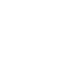 Logo Savinoli