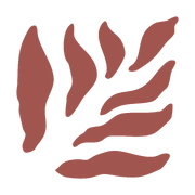 Logo LYMOEN