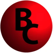 Logo Bernaerts Consulting
