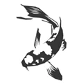 Logo NICARVI