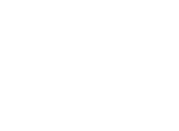 Logo AKTIEFINVEST