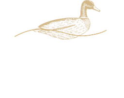 Logo VEJA