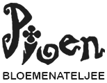 Logo PIOEN