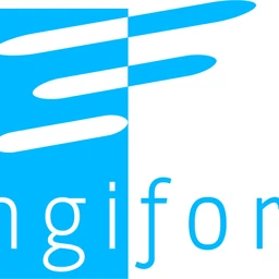 Logo ENGIFORCE