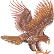 Logo EAGLE-HOIST