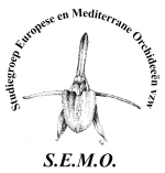 Logo Studiegroep Europese en Mediterrane Orchideeën