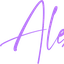 Logo Schek