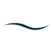 Logo YSAP