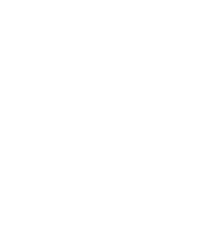 Logo Raices