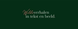 Logo Jungle Stories