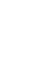 Logo Agile Catalyst
