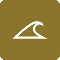 Logo Mind Surge