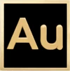 Logo Aucto