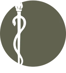 Logo Kinépunt Zolder