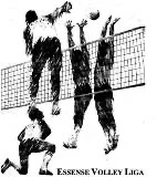 Logo Essense Volleybal Liga