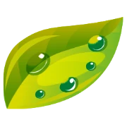 Logo VACQ BELGIUM
