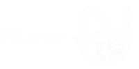 Logo NAXOR