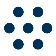 Logo SALT