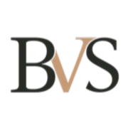 Logo BVS Projects