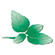 Logo IL BASILICO