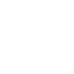 Logo Winnepenninckx