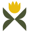 Logo PRORGANISACTION