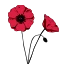 Logo PRAKTIJK DE KLAPROOS