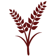 Logo BAKKERIJ RAES