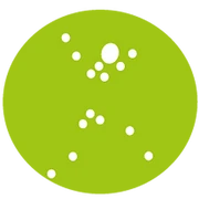 Logo IDRO