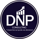 Logo DNP CONSULTING