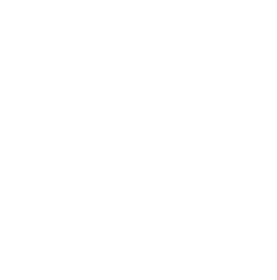 Logo POLARIS CONSULTANCY