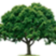Logo BERKENRIJS