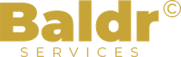 Logo BALDR SERVICES