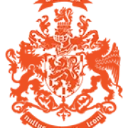 Logo V.W.I.C.