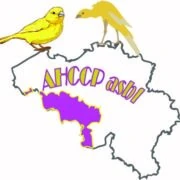 Logo Association du Hainaut des Canaris Couleurs et Postures
