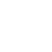 Logo Unique group